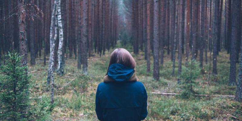 从章服之制到非遗新生：华夏服饰如何编织千年社会密码与文化对话