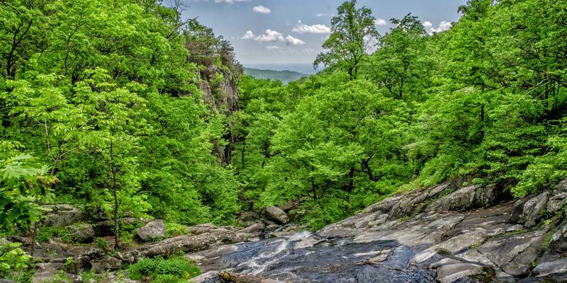 华夏文化40:解码中国文学与艺术的千年智慧与当代价值