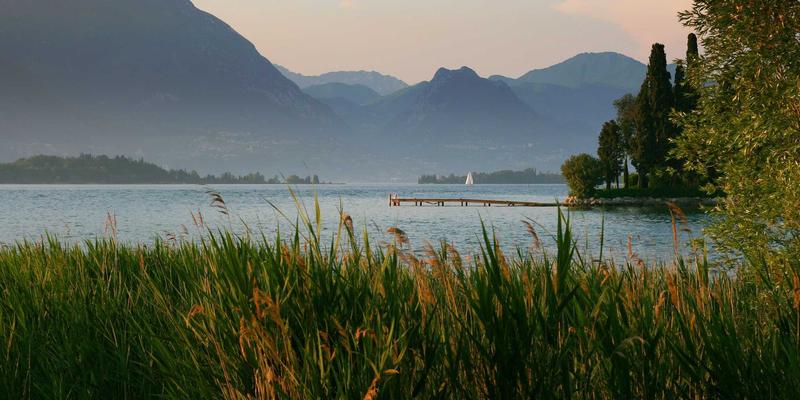 古琴清音：从士人修养到天地之音，解析华夏古琴艺术中的精神寄托与审美追求