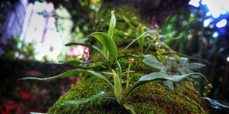 宫商角徵羽:解码华夏五音体系中的天地人和谐密码